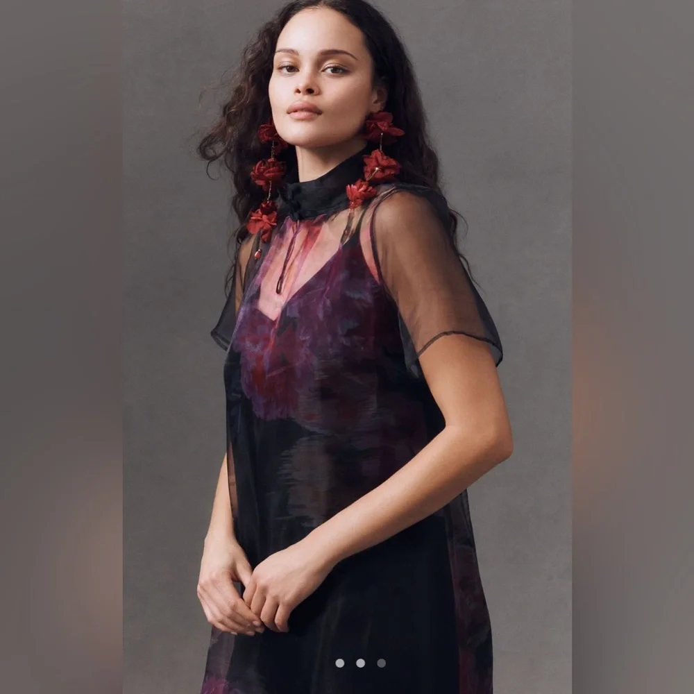 BHLDN Carina Short-Sleeve Organza Dress - Picture 2 of 7